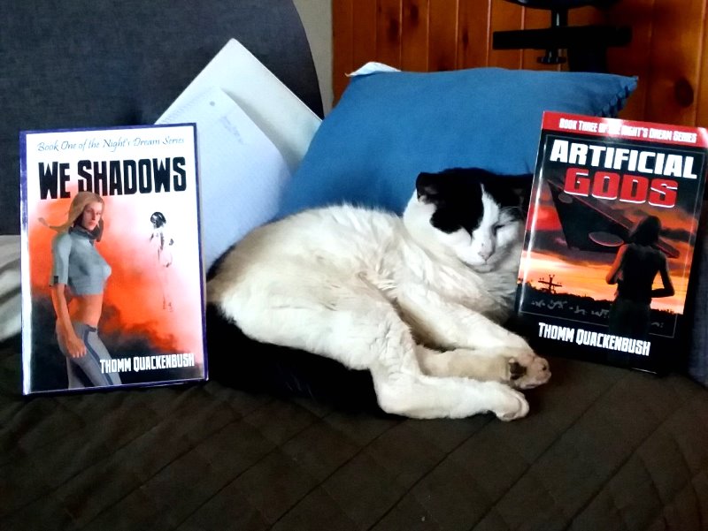 A lazy cat with two books