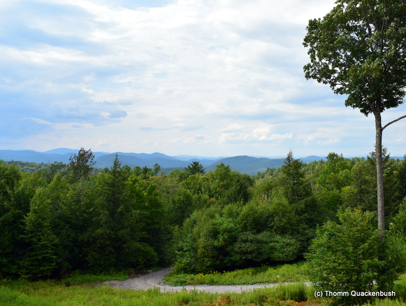 The view from the cabin