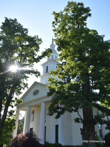 The Church