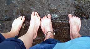 Our feet