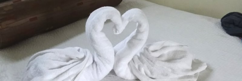 Towels folded into the shape of swans