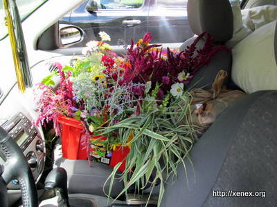 Wedding flowers